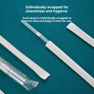 PLA Plant-Based Disposable Straws