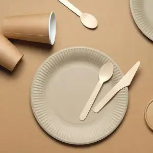 Disposable Tableware