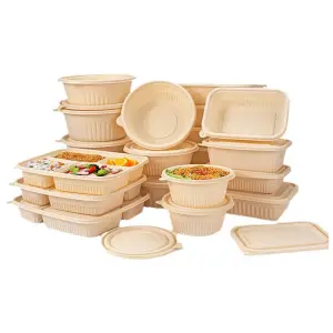 Eco-Friendly Disposable Food Containers (Corn Starch & PP Materials)