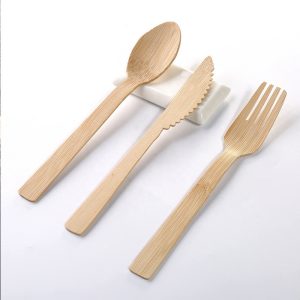 Eco-Friendly Disposable Cutlery Set